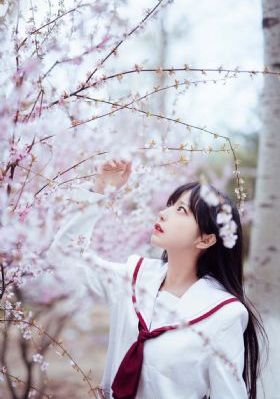 我的黑帮恋人无删减_蓝光日本电影免费